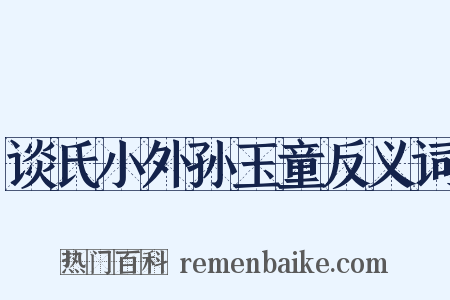 谈氏小外孙玉童反义词是什么意思的图片